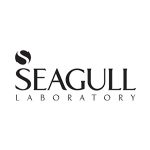 seagull